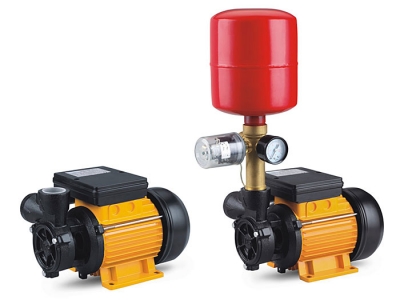 DB Series Peripheral Pumps